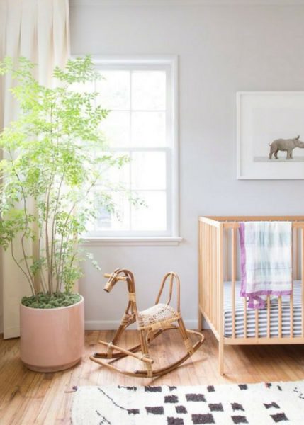 BREATHTAKING WAYS TO ADD PLANTS TO A BABY NURSERY | Nursery Design Studio