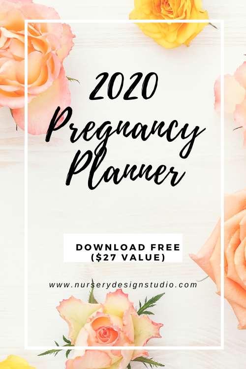2020 pregnancy planner