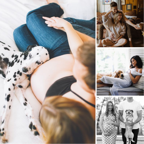 maternity photo shoot ideas at home