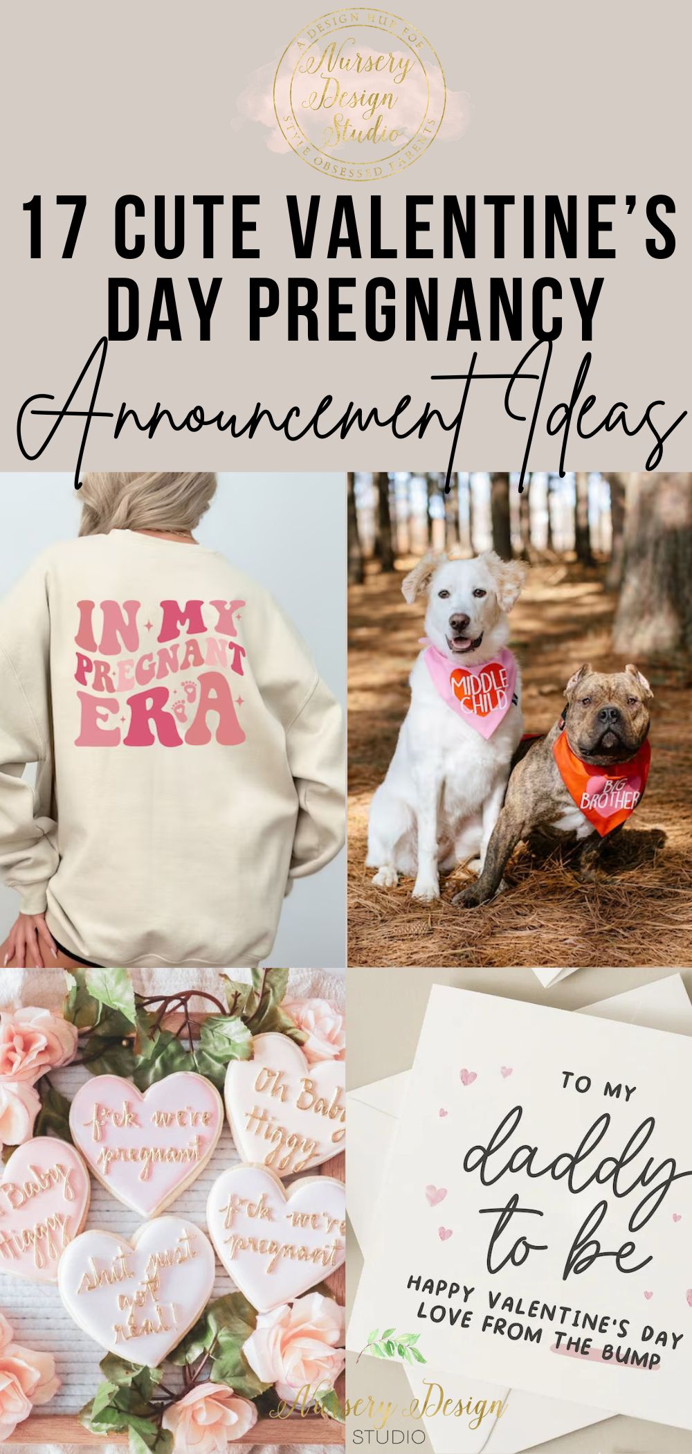 17 valentine's day pregnancy announcement ideas 