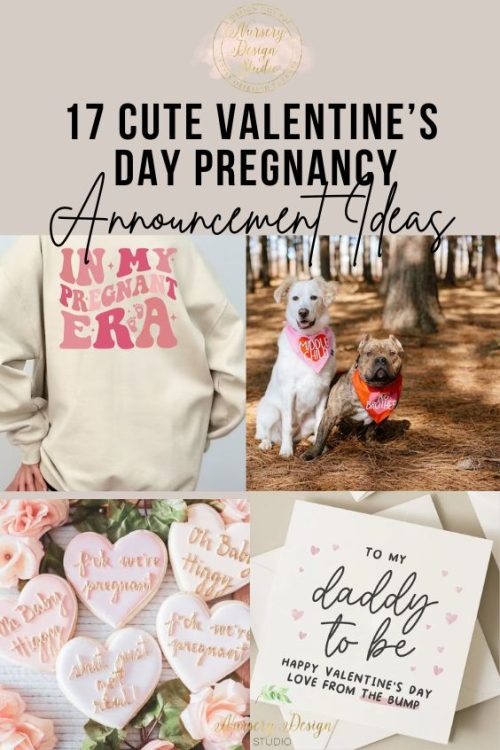 17 valentine's day pregnancy announcement ideas